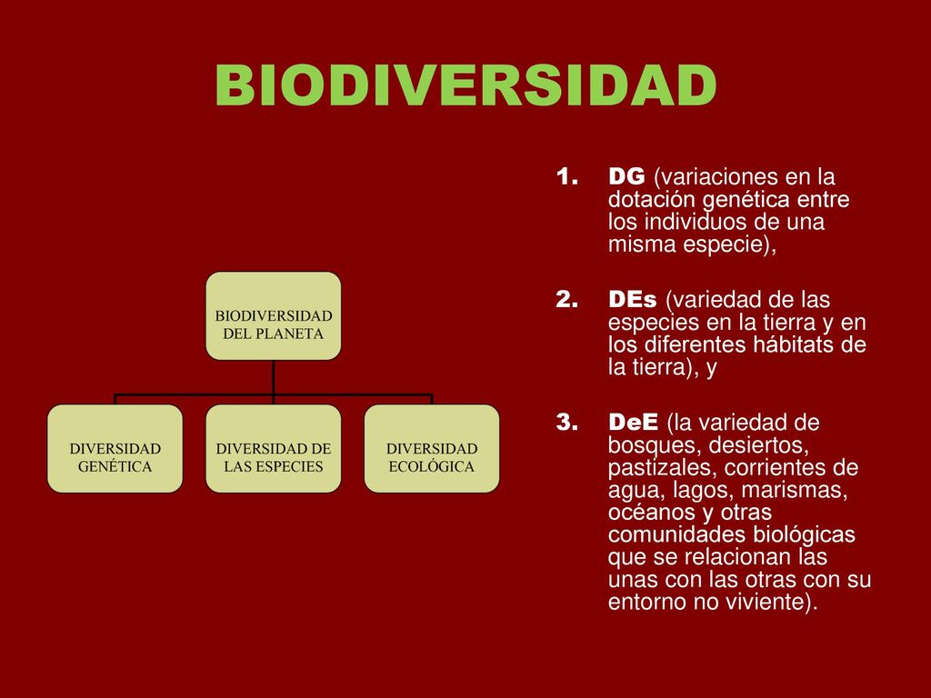 BIODIVERSIDAD DG (variaciones en la dotación genética entre los individuos de una misma especie),