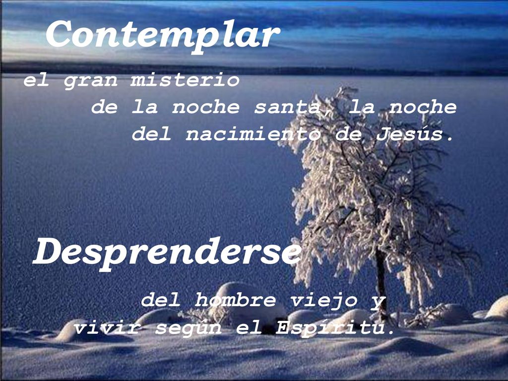 Contemplar Desprenderse el gran misterio de la noche santa, la noche