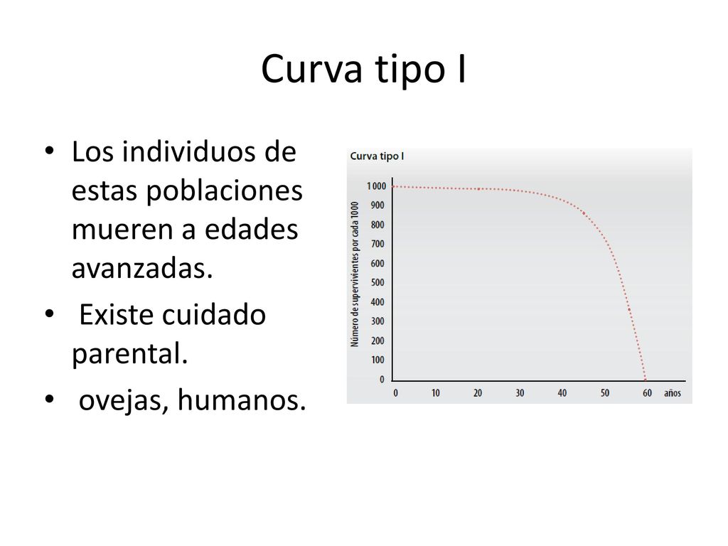Curva tipo I Los individuos de estas poblaciones mueren a edades avanzadas. Existe cuidado parental.