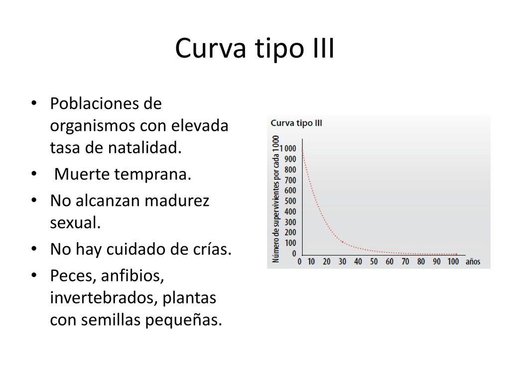 Curva tipo III Poblaciones de organismos con elevada tasa de natalidad. Muerte temprana. No alcanzan madurez sexual.