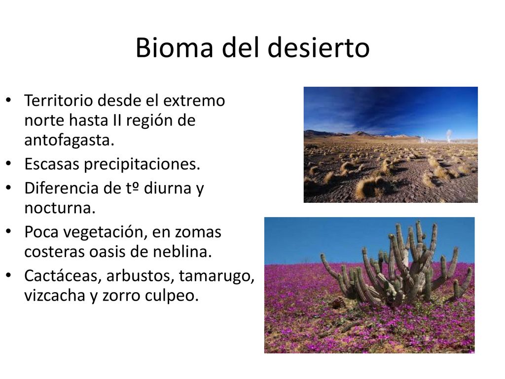 Bioma del desierto Territorio desde el extremo norte hasta II región de antofagasta. Escasas precipitaciones.