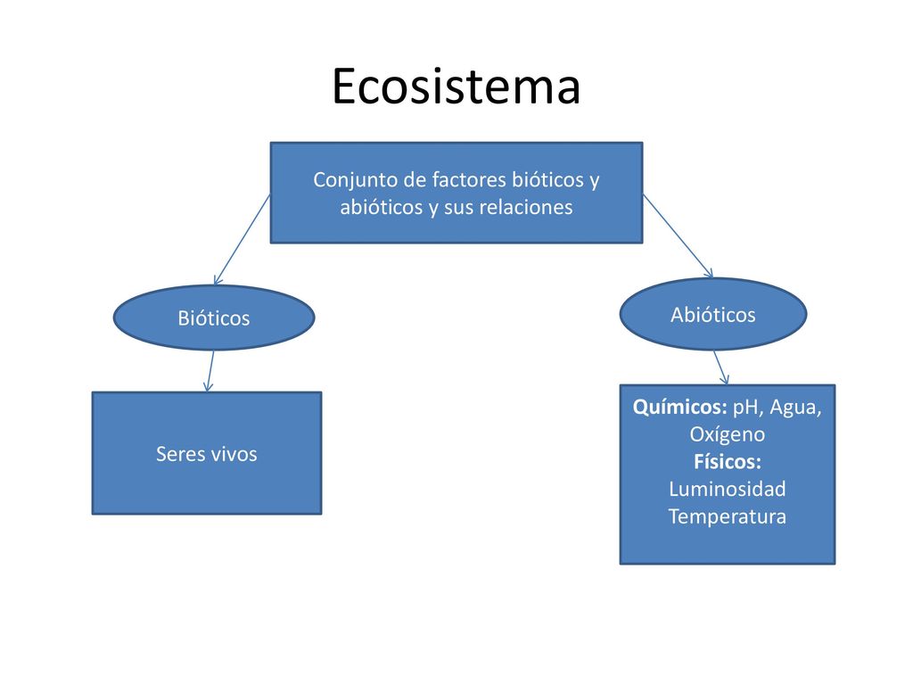 Ecosistema Conjunto de factores bióticos y abióticos y sus relaciones