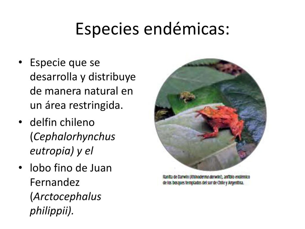 Especies endémicas: Especie que se desarrolla y distribuye de manera natural en un área restringida.