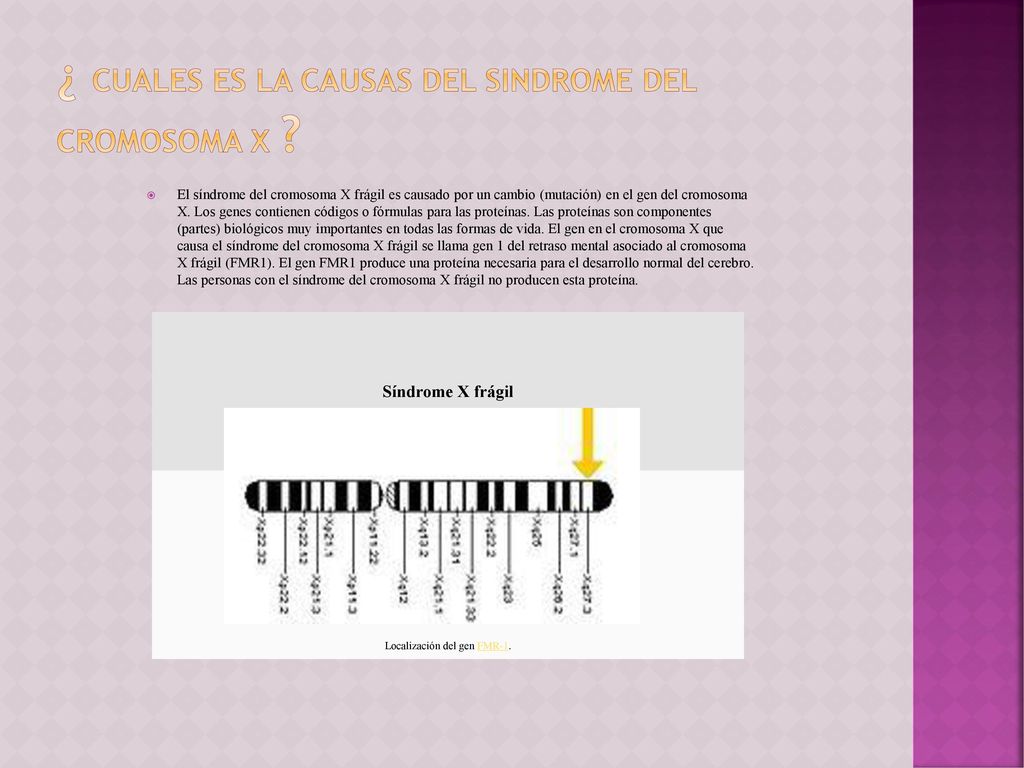 ¿ CUALES ES LA CAUSAS DEL SINDROME DEL CROMOSOMA X