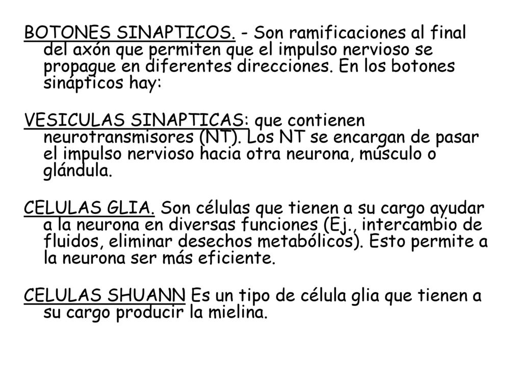 BOTONES SINAPTICOS. - Son ramificaciones al final del axón que permiten que el impulso nervioso se propague en diferentes direcciones. En los botones sinápticos hay: