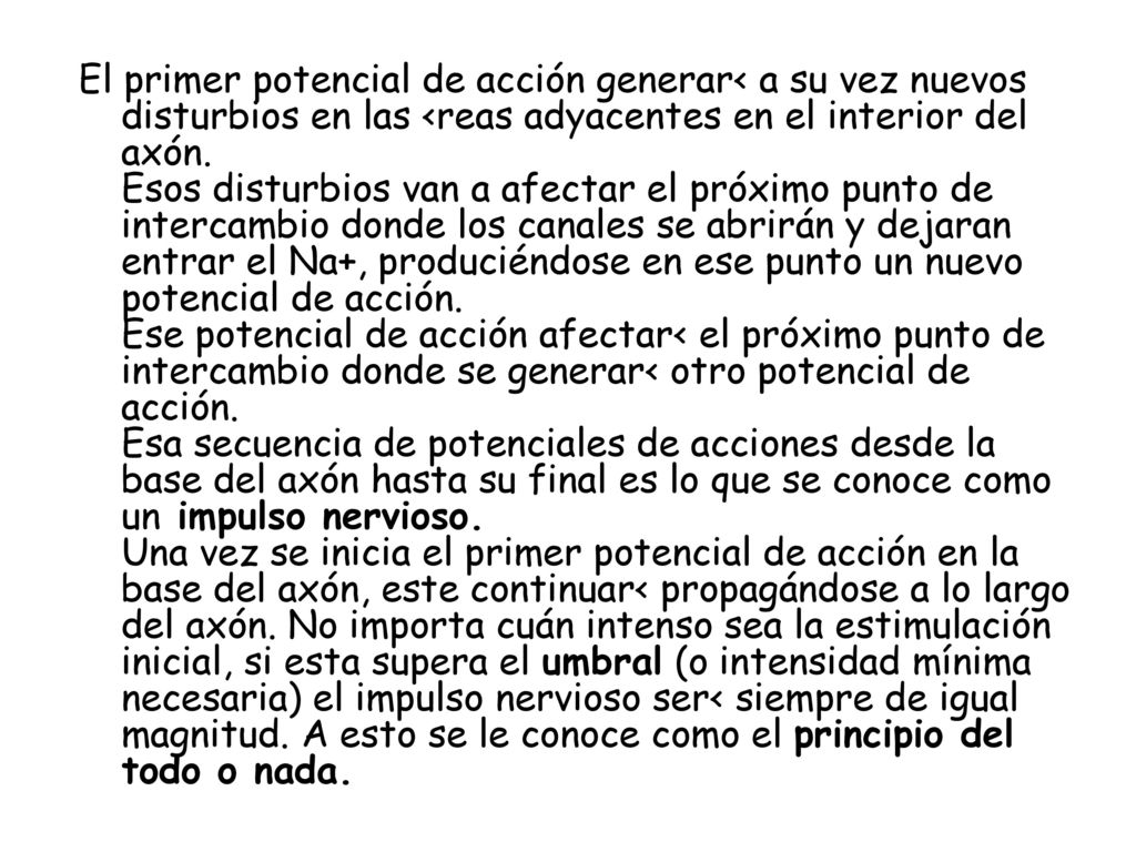 El primer potencial de acción generar< a su vez nuevos disturbios en las <reas adyacentes en el interior del axón.