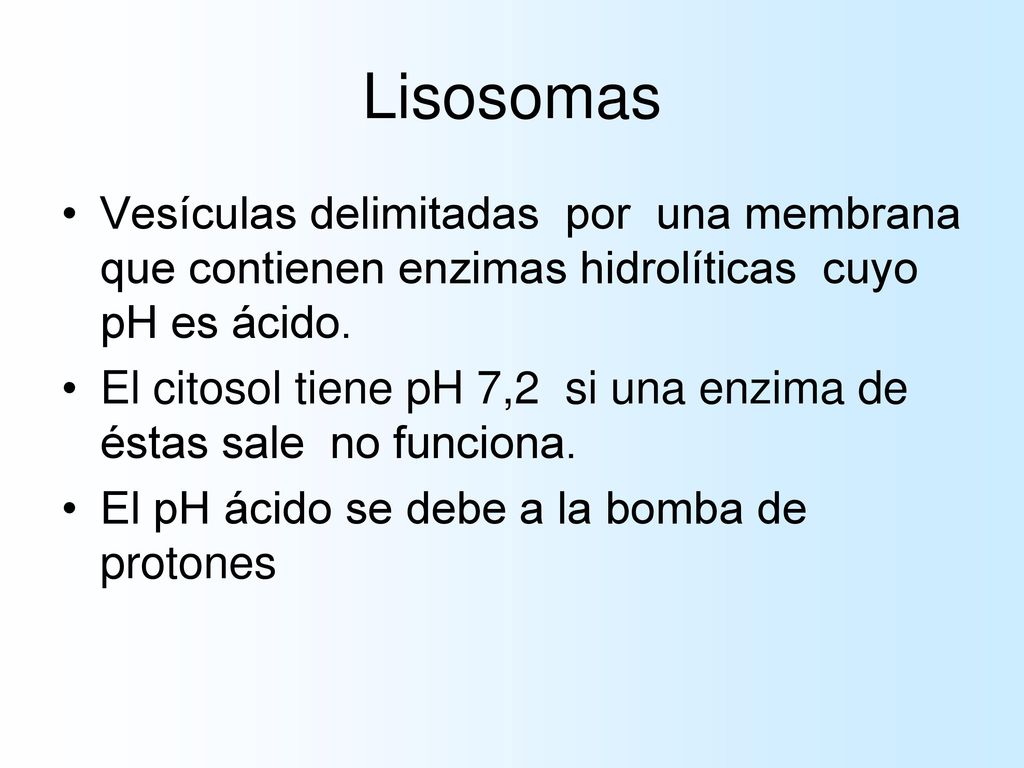 Lisosomas Vesículas delimitadas por una membrana que contienen enzimas hidrolíticas cuyo pH es ácido.