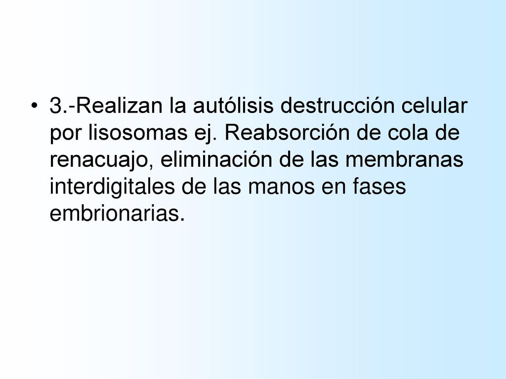 3. -Realizan la autólisis destrucción celular por lisosomas ej