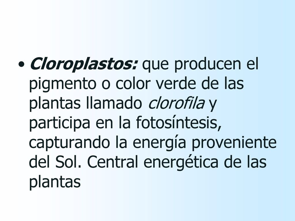 Cloroplastos: que producen el pigmento o color verde de las plantas llamado clorofila y participa en la fotosíntesis, capturando la energía proveniente del Sol.