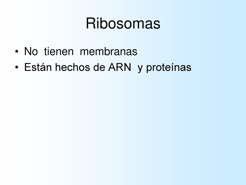 Ribosomas No tienen membranas Están hechos de ARN y proteínas