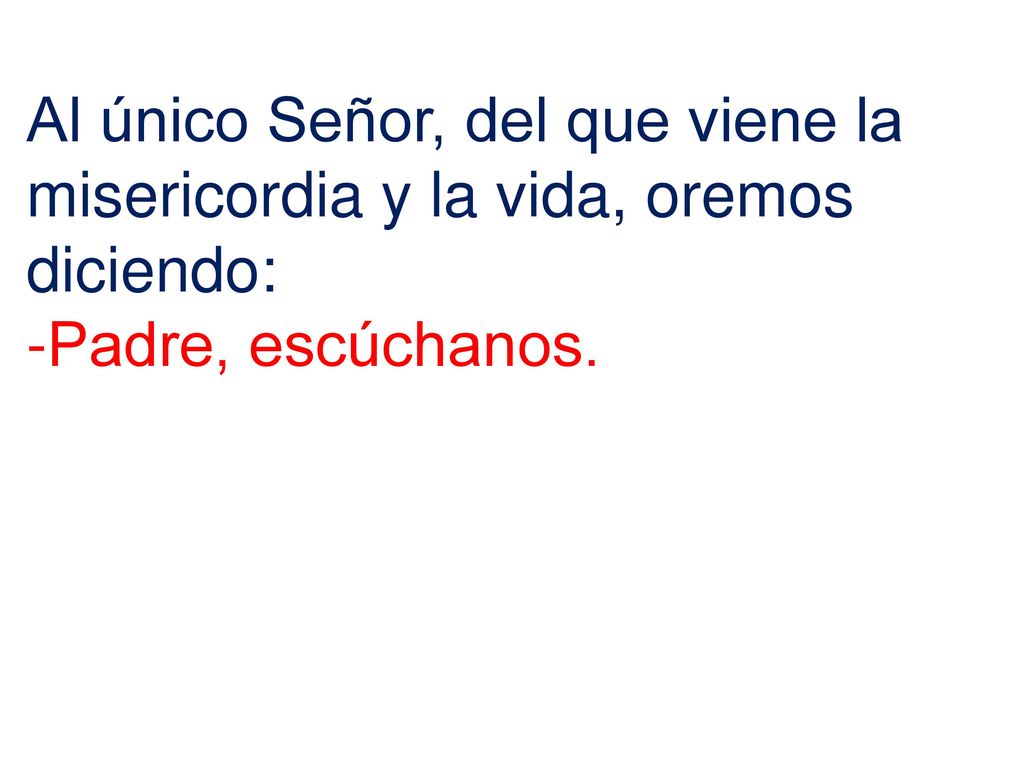 Al único Señor, del que viene la misericordia y la vida, oremos diciendo: