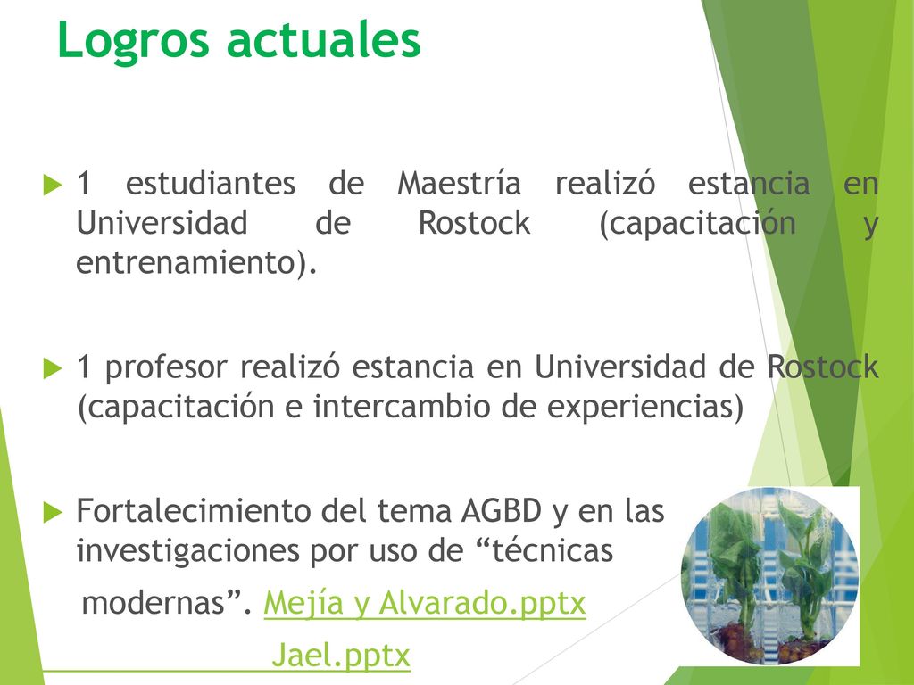 Logros actuales 1 estudiantes de Maestría realizó estancia en Universidad de Rostock (capacitación y entrenamiento).