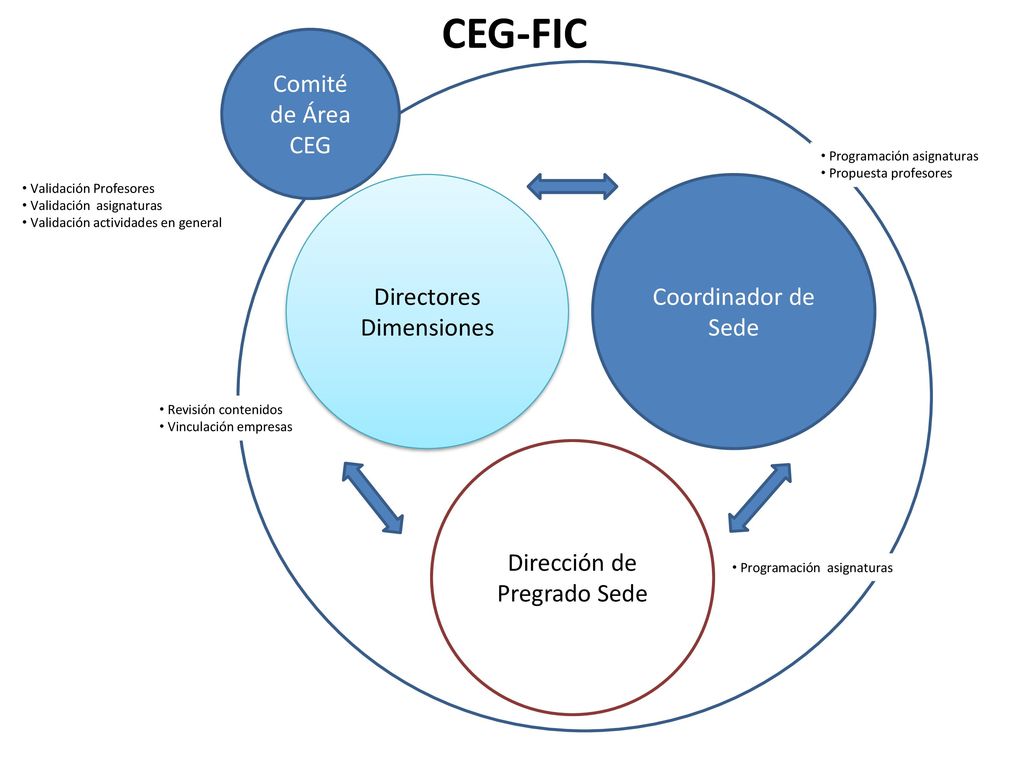 CEG-FIC Comité de Área CEG Directores Dimensiones Coordinador de Sede