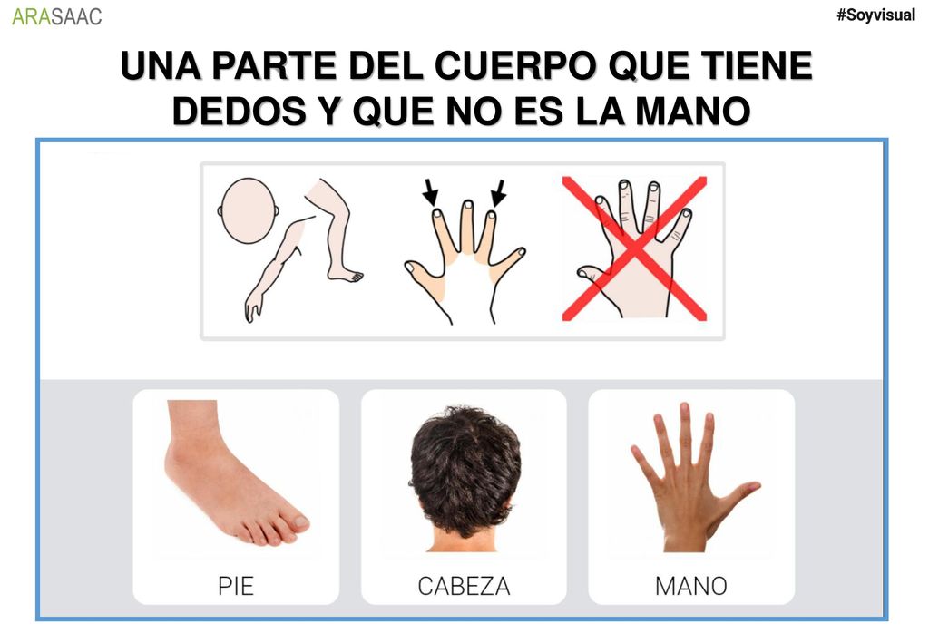 UNA PARTE DEL CUERPO QUE TIENE DEDOS Y QUE NO ES LA MANO