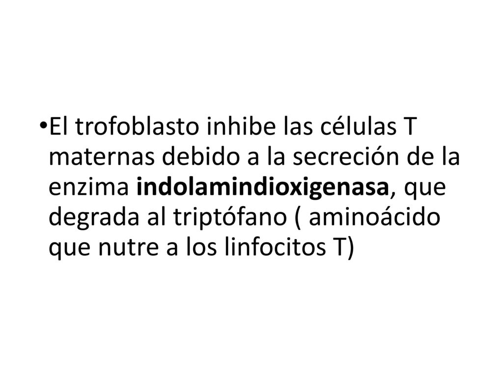 El trofoblasto inhibe las células T maternas debido a la secreción de la enzima indolamindioxigenasa, que degrada al triptófano ( aminoácido que nutre a los linfocitos T)
