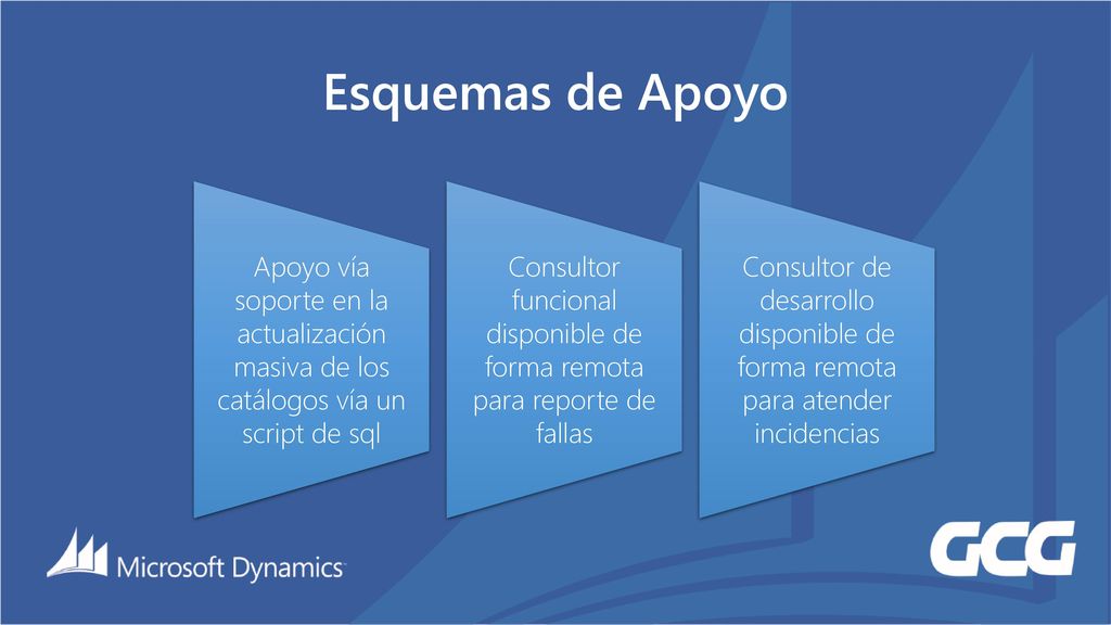 Consultor funcional disponible de forma remota para reporte de fallas