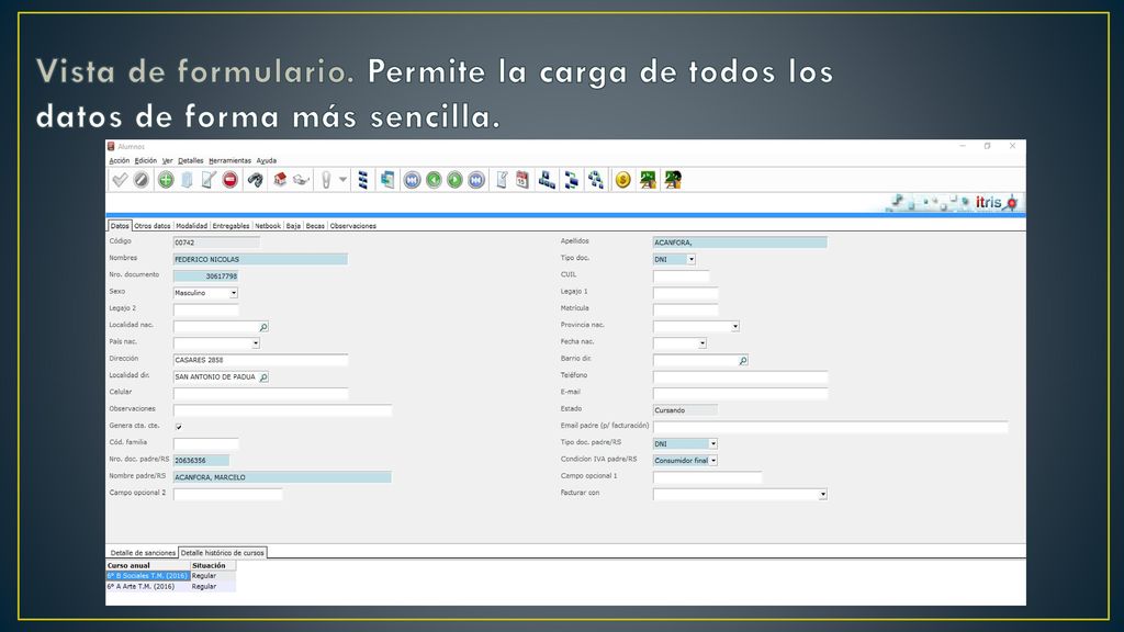 Vista de formulario. Permite la carga de todos los datos de forma más sencilla.