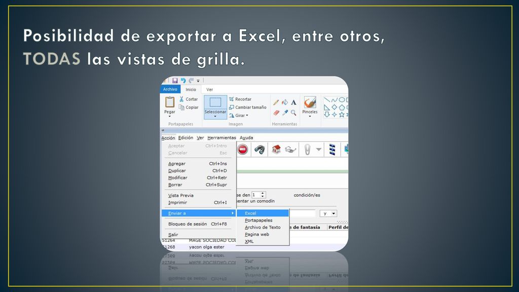 Posibilidad de exportar a Excel, entre otros, TODAS las vistas de grilla.