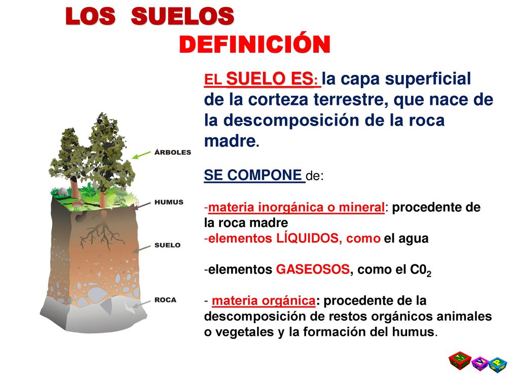 LOS SUELOS DEFINICIÓN. EL SUELO ES: la capa superficial de la corteza terrestre, que nace de la descomposición de la roca madre.