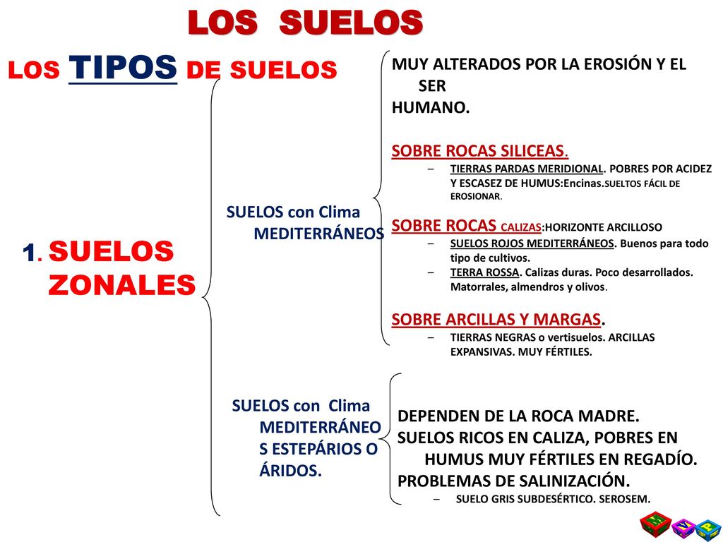 LOS SUELOS LOS TIPOS DE SUELOS 1. SUELOS ZONALES