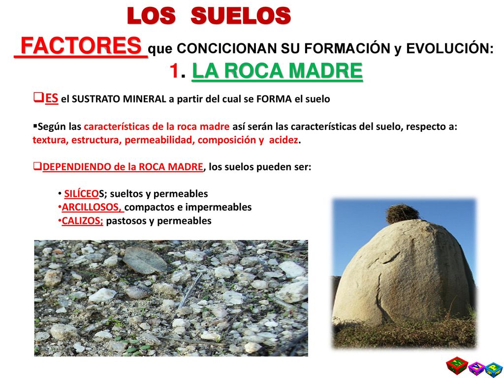FACTORES que CONCICIONAN SU FORMACIÓN y EVOLUCIÓN: 1. LA ROCA MADRE