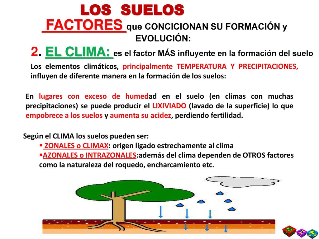 LOS SUELOS FACTORES que CONCICIONAN SU FORMACIÓN y EVOLUCIÓN: 2. EL CLIMA: es el factor MÁS influyente en la formación del suelo.