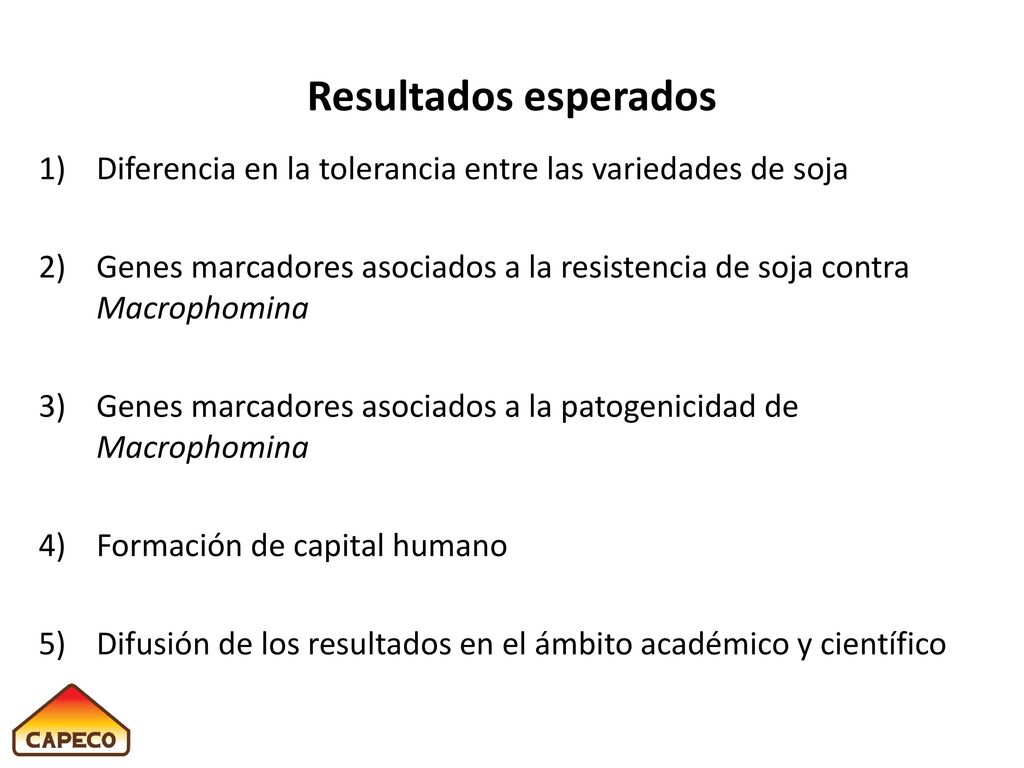 Plan de trabajo Soja + M. phaseolina Soja M. phaseolina