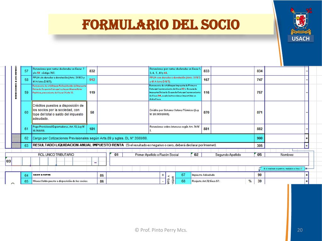 Formulario del socio USACH © Prof. Pinto Perry Mcs.