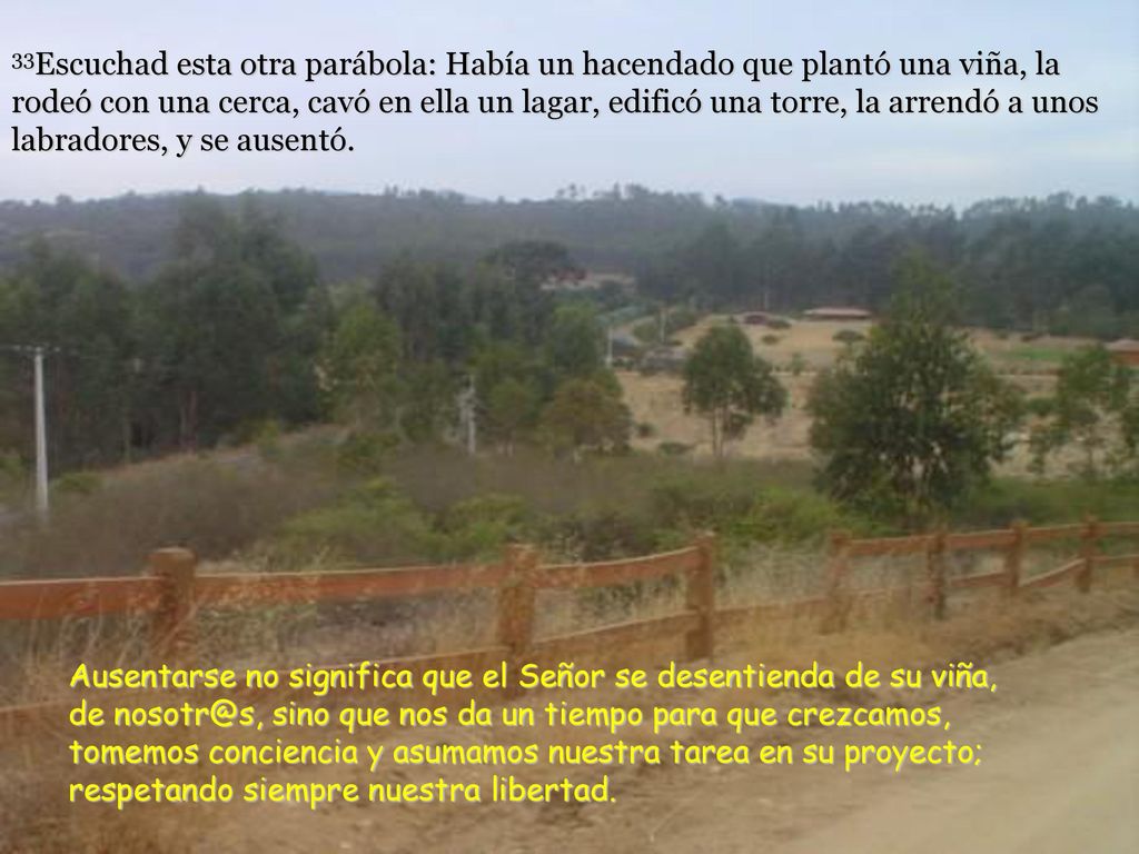 33Escuchad esta otra parábola: Había un hacendado que plantó una viña, la rodeó con una cerca, cavó en ella un lagar, edificó una torre, la arrendó a unos labradores, y se ausentó.