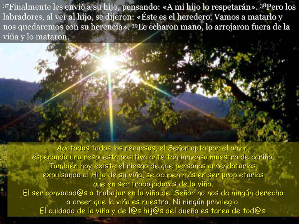 El cuidado de la viña y de  del dueño es tarea de