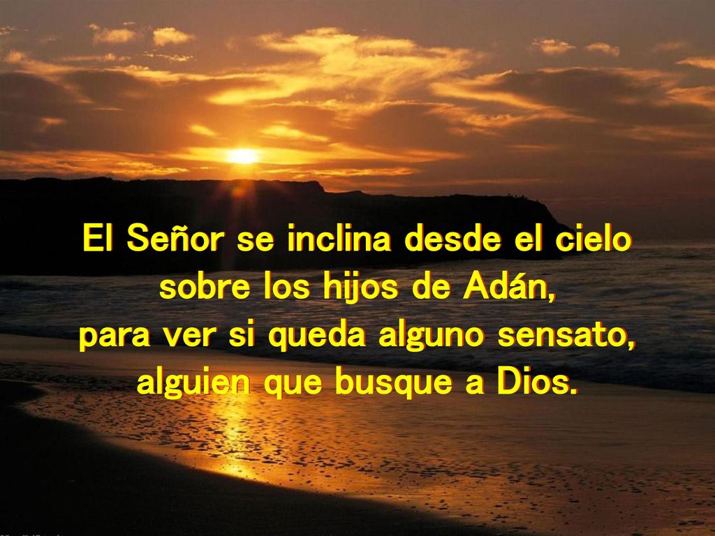 El Señor se inclina desde el cielo sobre los hijos de Adán,