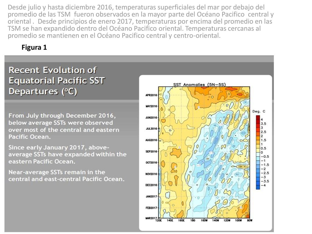 Desde julio y hasta diciembre 2016, temperaturas superficiales del mar por debajo del promedio de las TSM fueron observados en la mayor parte del Océano Pacifico central y oriental . Desde principios de enero 2017, temperaturas por encima del promedio en las TSM se han expandido dentro del Océano Pacifico oriental. Temperaturas cercanas al promedio se mantienen en el Océano Pacifico central y centro-oriental.