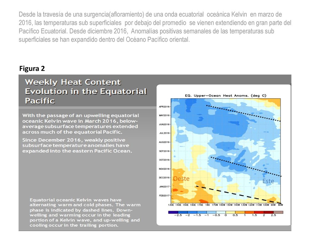 Desde la travesía de una surgencia(afloramiento) de una onda ecuatorial oceánica Kelvin en marzo de 2016, las temperaturas sub superficiales por debajo del promedio se vienen extendiendo en gran parte del Pacífico Ecuatorial. Desde diciembre 2016, Anomalías positivas semanales de las temperaturas sub superficiales se han expandido dentro del Océano Pacífico oriental.