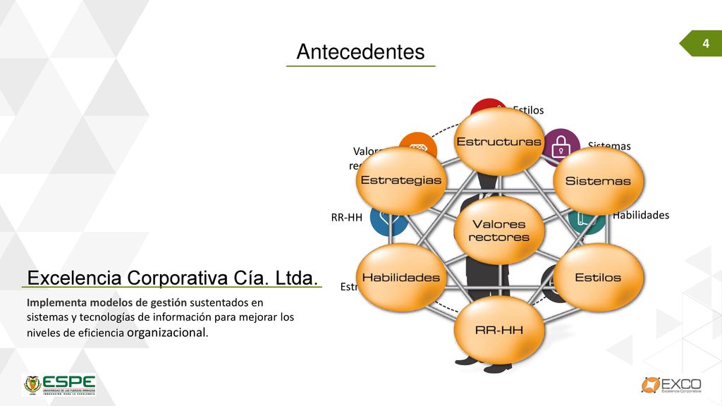 Antecedentes Excelencia Corporativa Cía. Ltda. Estilos Sistemas