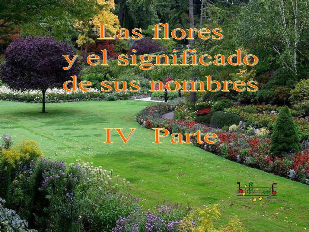 Las flores y el significado de sus nombres IV Parte