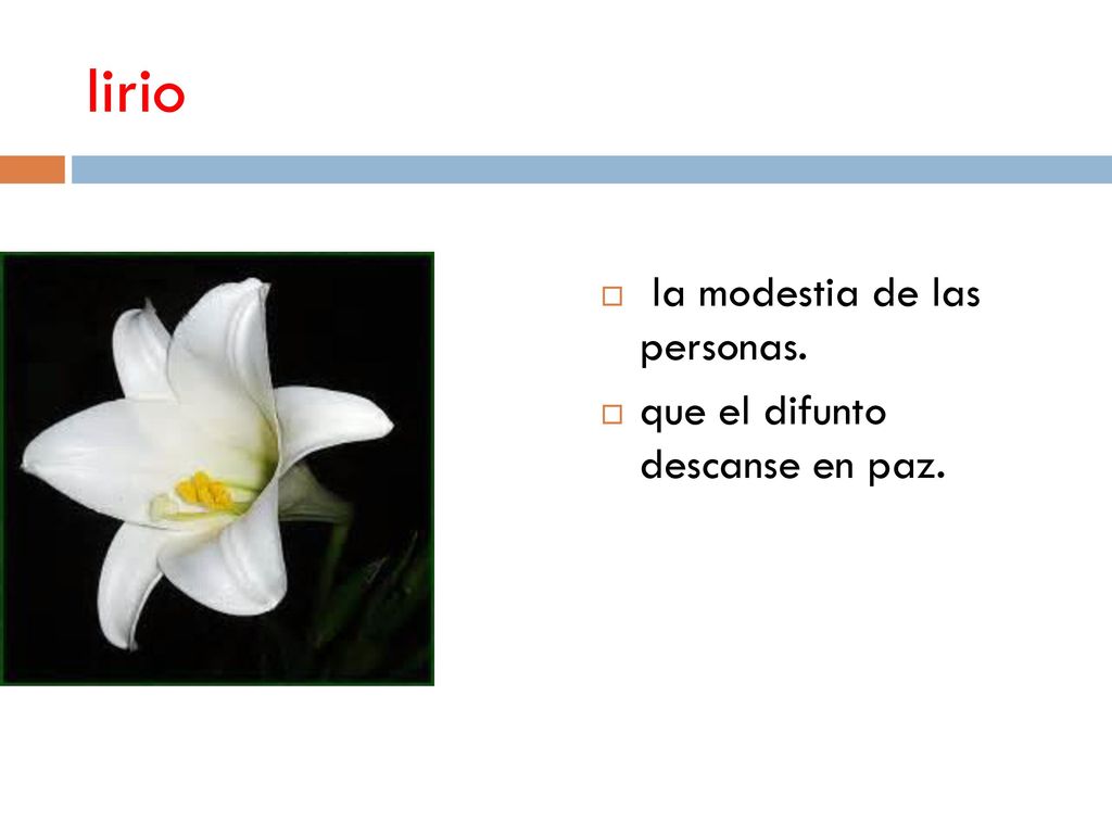 lirio la modestia de las personas. que el difunto descanse en paz.