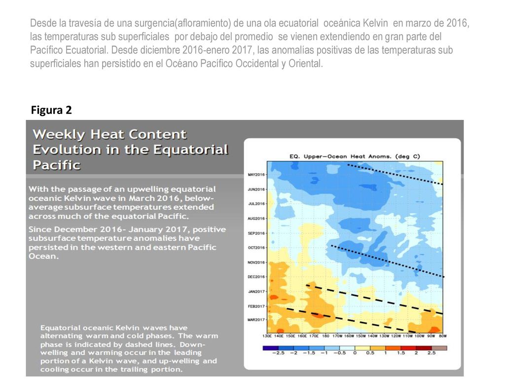 Desde la travesía de una surgencia(afloramiento) de una ola ecuatorial oceánica Kelvin en marzo de 2016, las temperaturas sub superficiales por debajo del promedio se vienen extendiendo en gran parte del Pacífico Ecuatorial. Desde diciembre 2016-enero 2017, las anomalías positivas de las temperaturas sub superficiales han persistido en el Océano Pacífico Occidental y Oriental.