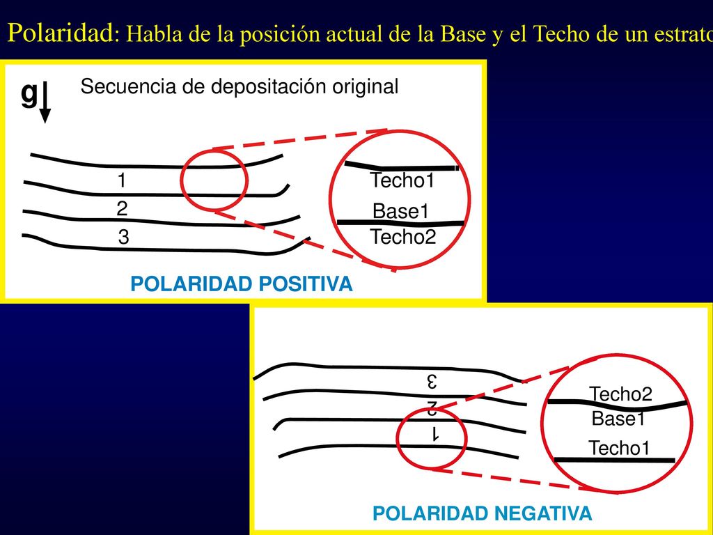 Polaridad: Habla de la posición actual de la Base y el Techo de un estrato.