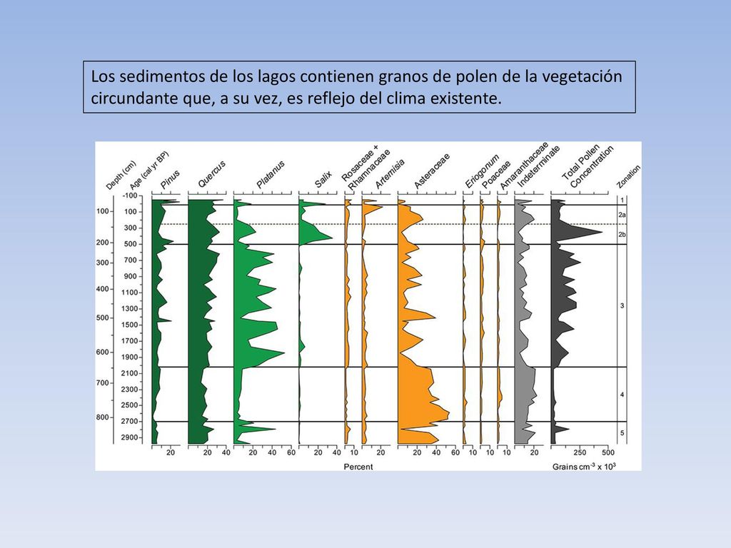 Los sedimentos de los lagos contienen granos de polen de la vegetación