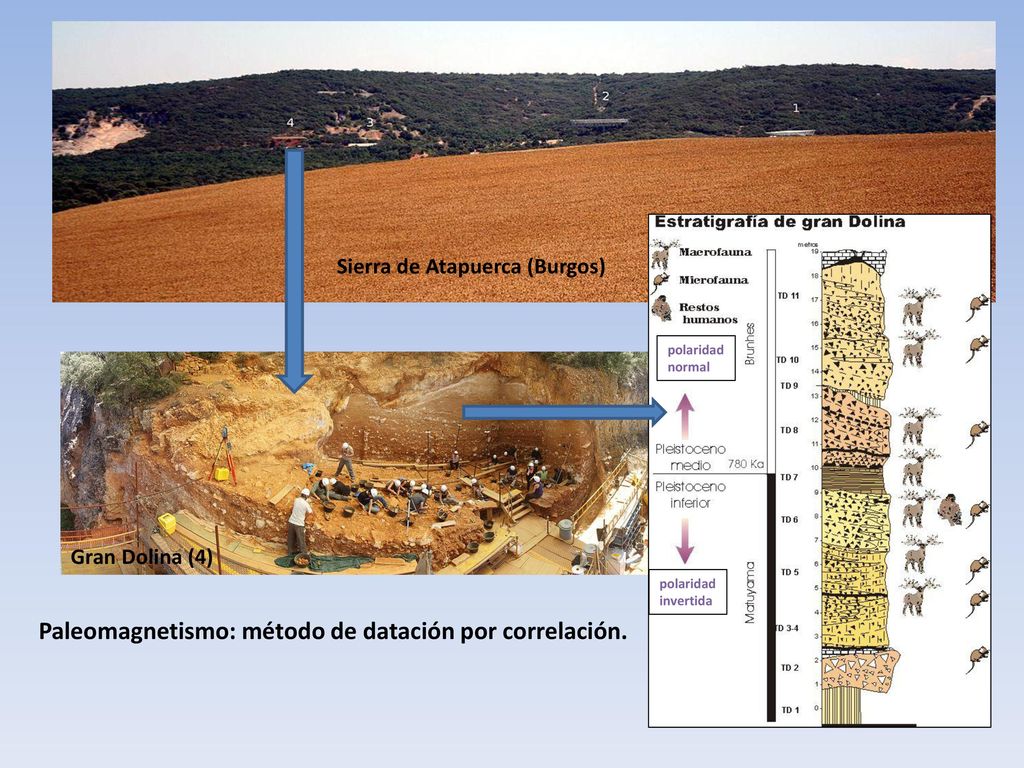 Paleomagnetismo: método de datación por correlación.