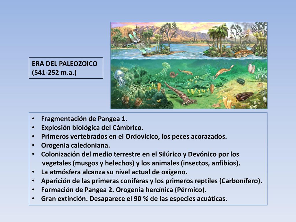 ERA DEL PALEOZOICO ( m.a.) Fragmentación de Pangea 1. Explosión biológica del Cámbrico.