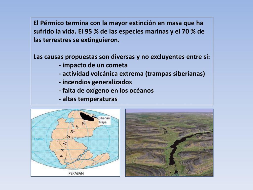 El Pérmico termina con la mayor extinción en masa que ha
