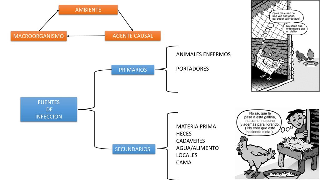 AMBIENTE MACROORGANISMO. AGENTE CAUSAL. ANIMALES ENFERMOS. PORTADORES. PRIMARIOS. FUENTES. DE.