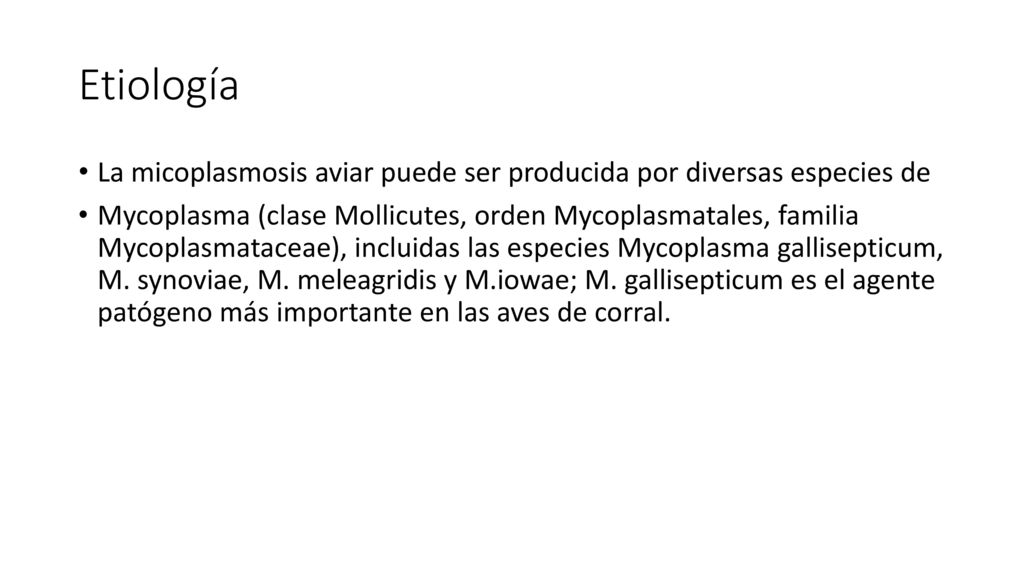 Etiología La micoplasmosis aviar puede ser producida por diversas especies de.