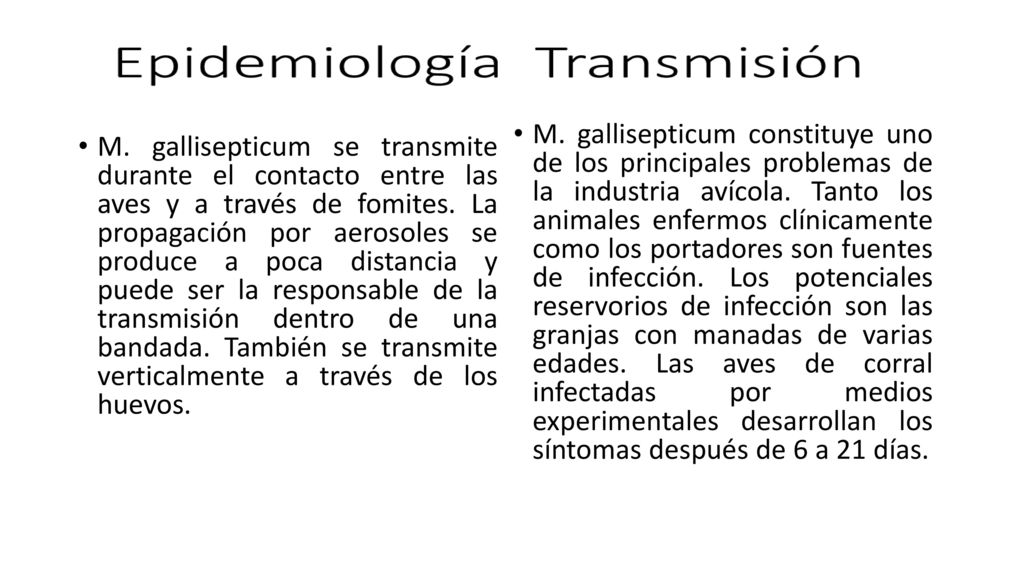 M. gallisepticum se transmite durante el contacto entre las aves y a través de fomites. La propagación por aerosoles se produce a poca distancia y puede ser la responsable de la transmisión dentro de una bandada. También se transmite verticalmente a través de los huevos.
