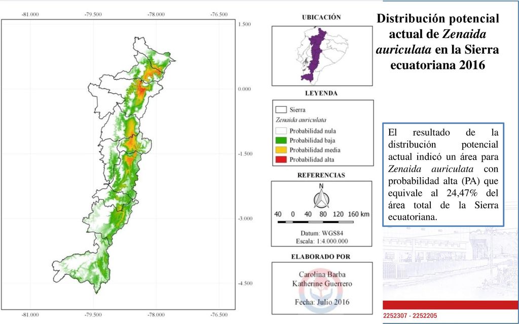 Distribución potencial actual de Zenaida auriculata en la Sierra ecuatoriana 2016
