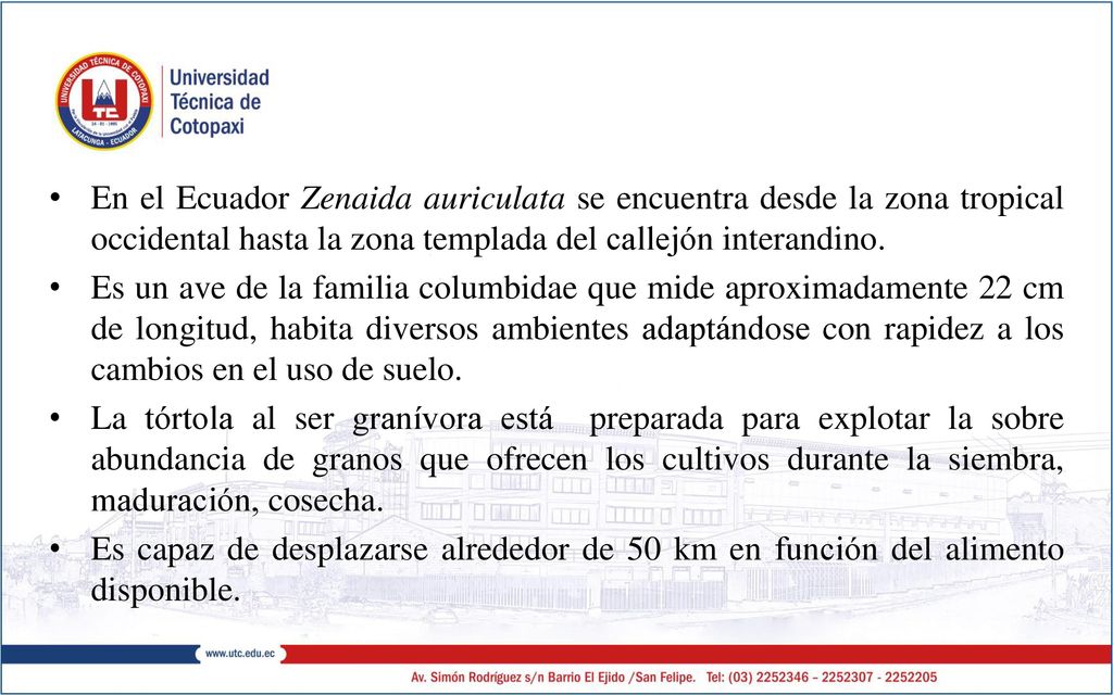 En el Ecuador Zenaida auriculata se encuentra desde la zona tropical occidental hasta la zona templada del callejón interandino.