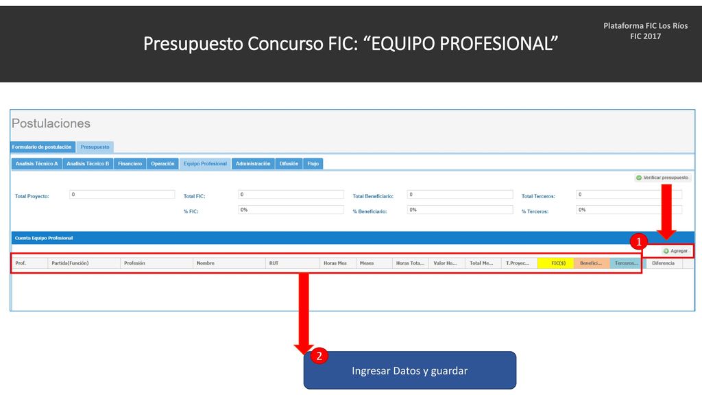 Presupuesto Concurso FIC: EQUIPO PROFESIONAL Plataforma FIC Los Ríos