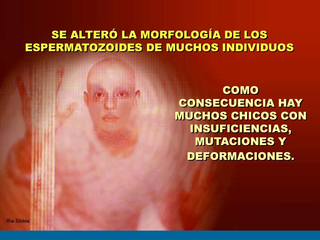 SE ALTERÓ LA MORFOLOGÍA DE LOS ESPERMATOZOIDES DE MUCHOS INDIVIDUOS