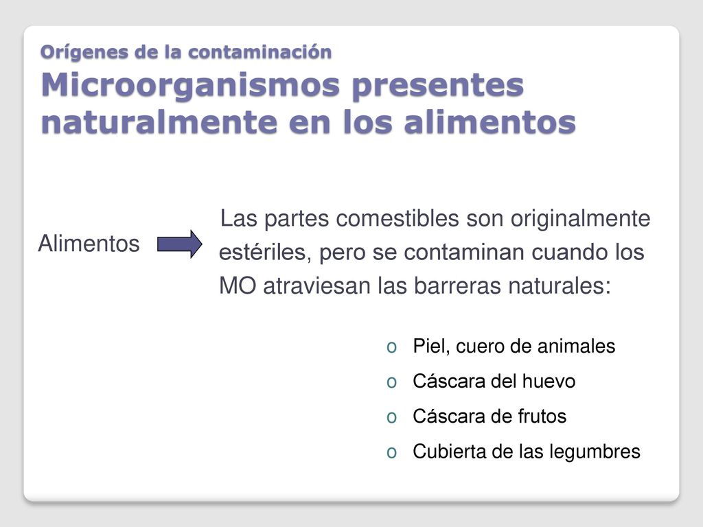 Orígenes de la contaminación Microorganismos presentes naturalmente en los alimentos